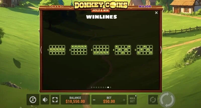 Donkey Coins Hold & Win - Kemenangan besar dalam mode khusus